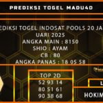 IDT MADU