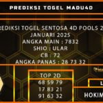 STT 4D MADU
