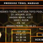 STT MADU