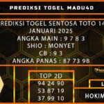 STT MADU