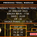 TSEL MADU