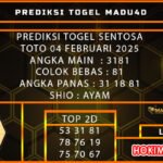 stt madu