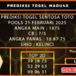 stt madu
