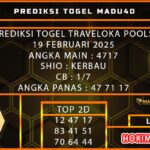 travel madu
