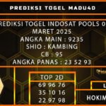 IDT MADU