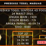 st4d madu