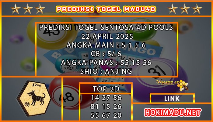 st4d madu