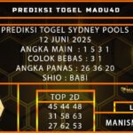PREDIKSI TOGEL SYDNEY POOLS 12 JUNI 2025