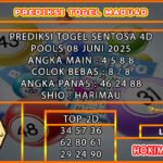 st4d madu
