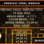PREDIKSI TOGEL SENTOSA TOTO 14 JUNI 2025